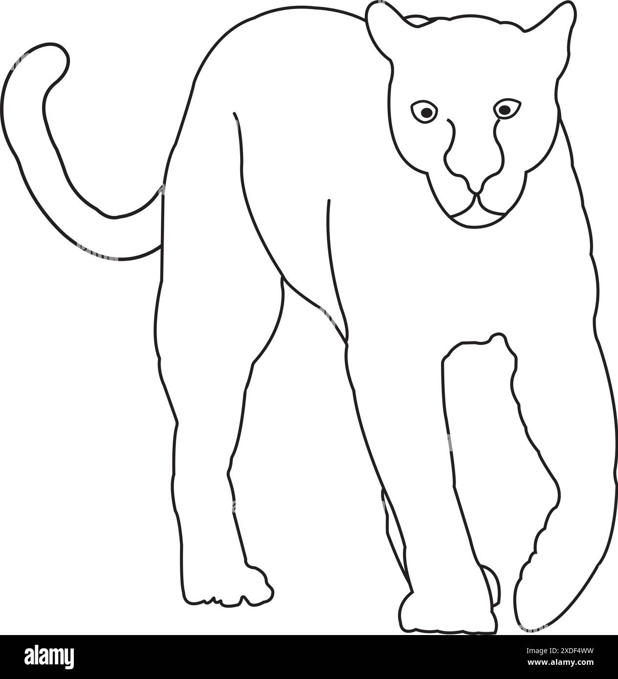 White panther Stock Vector Images - Alamy