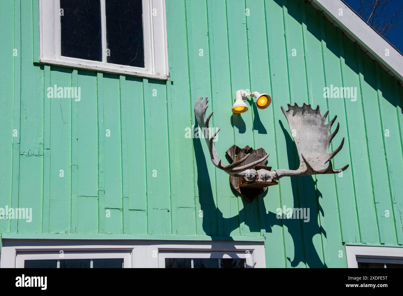 Moose antlers on a building at the wharf village at Magnetic Hill in Moncton, New Brunswick, Canada Stock Photo