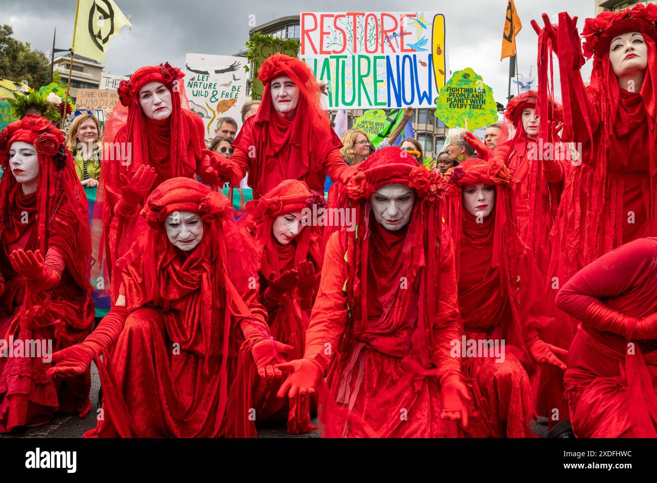 London / UK - Jun 22 2024: Red Rebel Brigade climate activists at the Restore Nature Now march for environmental protections. Organisations including the RSPB, WWF,  National Trust, Extinction Rebellion and others united to call Stock Photo