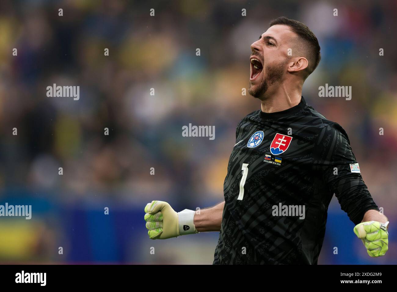 Dusseldorf, Germany. 21 June 2024. Martin Dubravka of Slovakia celebrates during the UEFA EURO 2024 group stage football match between Slovakia and Ukraine. Credit: Nicolò Campo/Alamy Live News Stock Photo