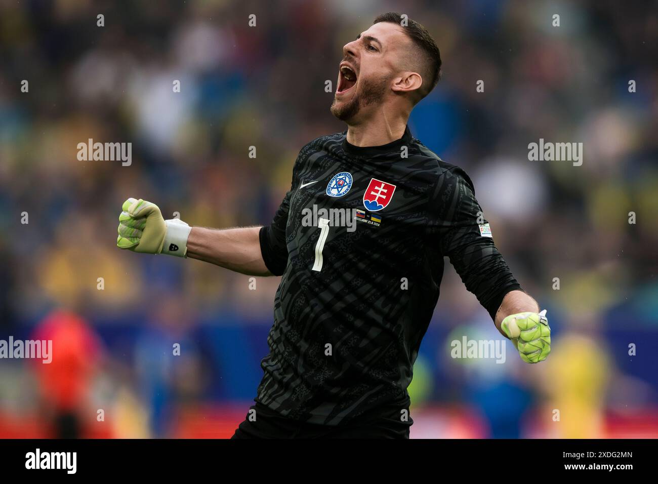 Dusseldorf, Germany. 21 June 2024. Martin Dubravka of Slovakia celebrates during the UEFA EURO 2024 group stage football match between Slovakia and Ukraine. Credit: Nicolò Campo/Alamy Live News Stock Photo