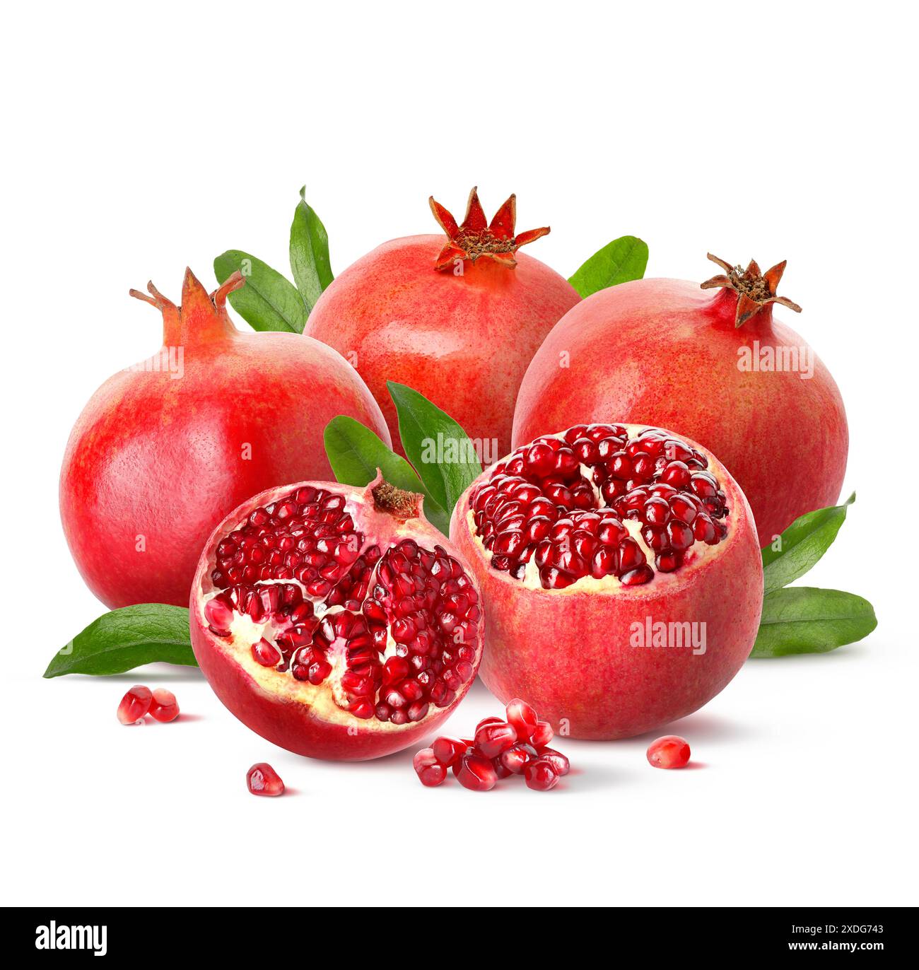 Ripe pomegranates green leaves hi-res stock photography and images - Alamy