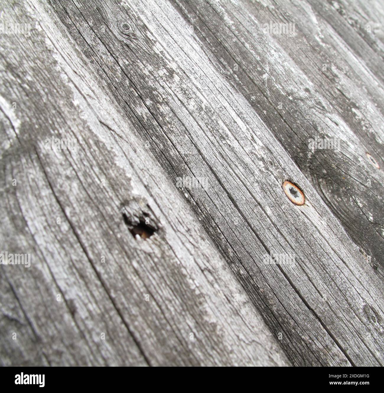 Pattern, texture and monochrome of wood, board and timber for carpentry with grunge. Vintage, black and white effect of deck floor, creative design Stock Photo