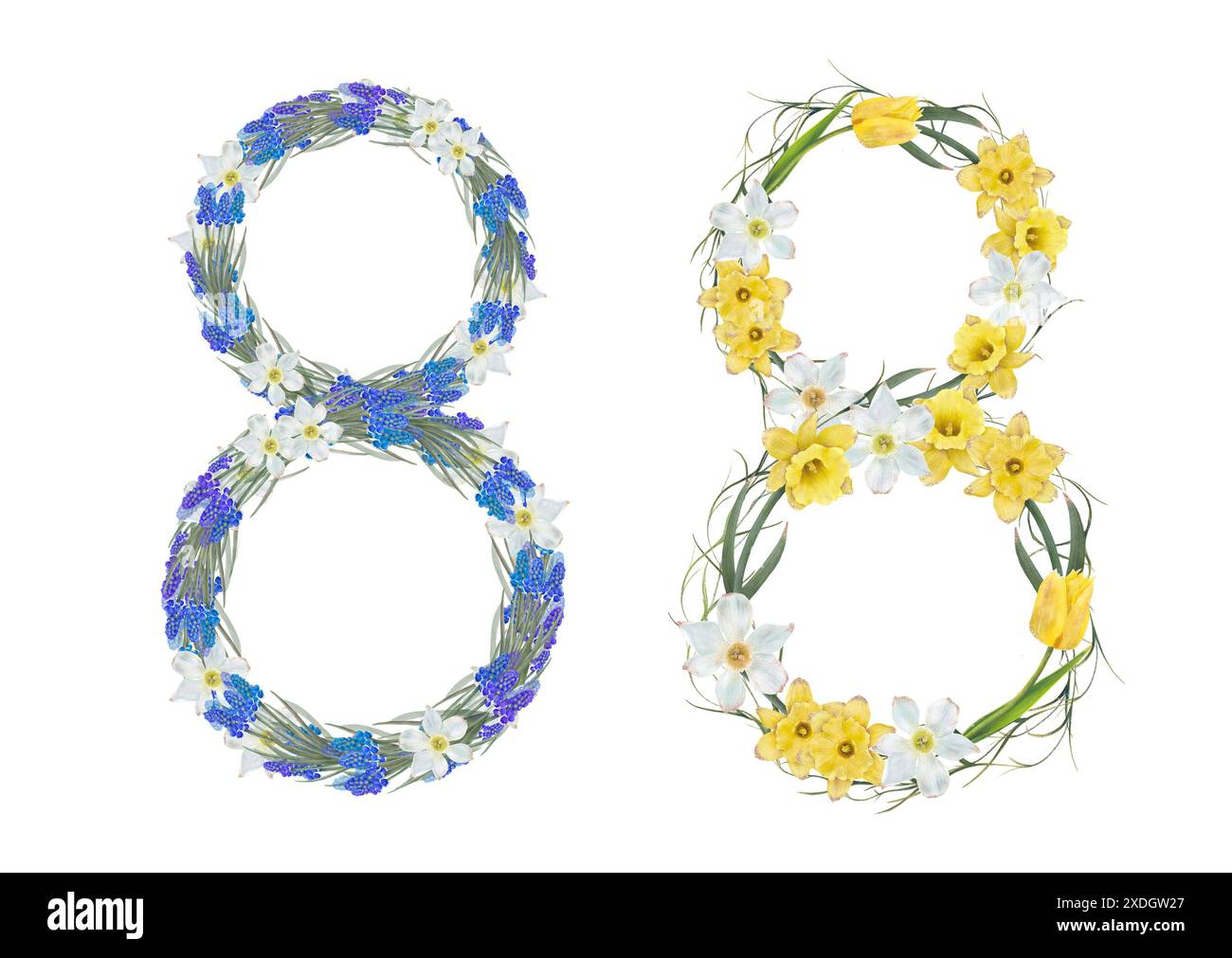 An artistic representation of the numerical digit eight, crafted using blue, white, and yellow flowers. Isolated objects on a white background for the design of a booklet, flyer, e-pack, label or advertisement. Digital art. Stock Photo