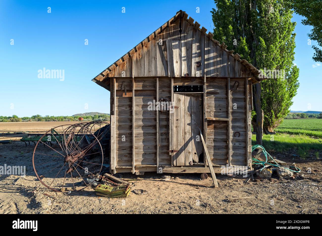 An old wood storage shed near the fields on a farm in eastern Oregon ...