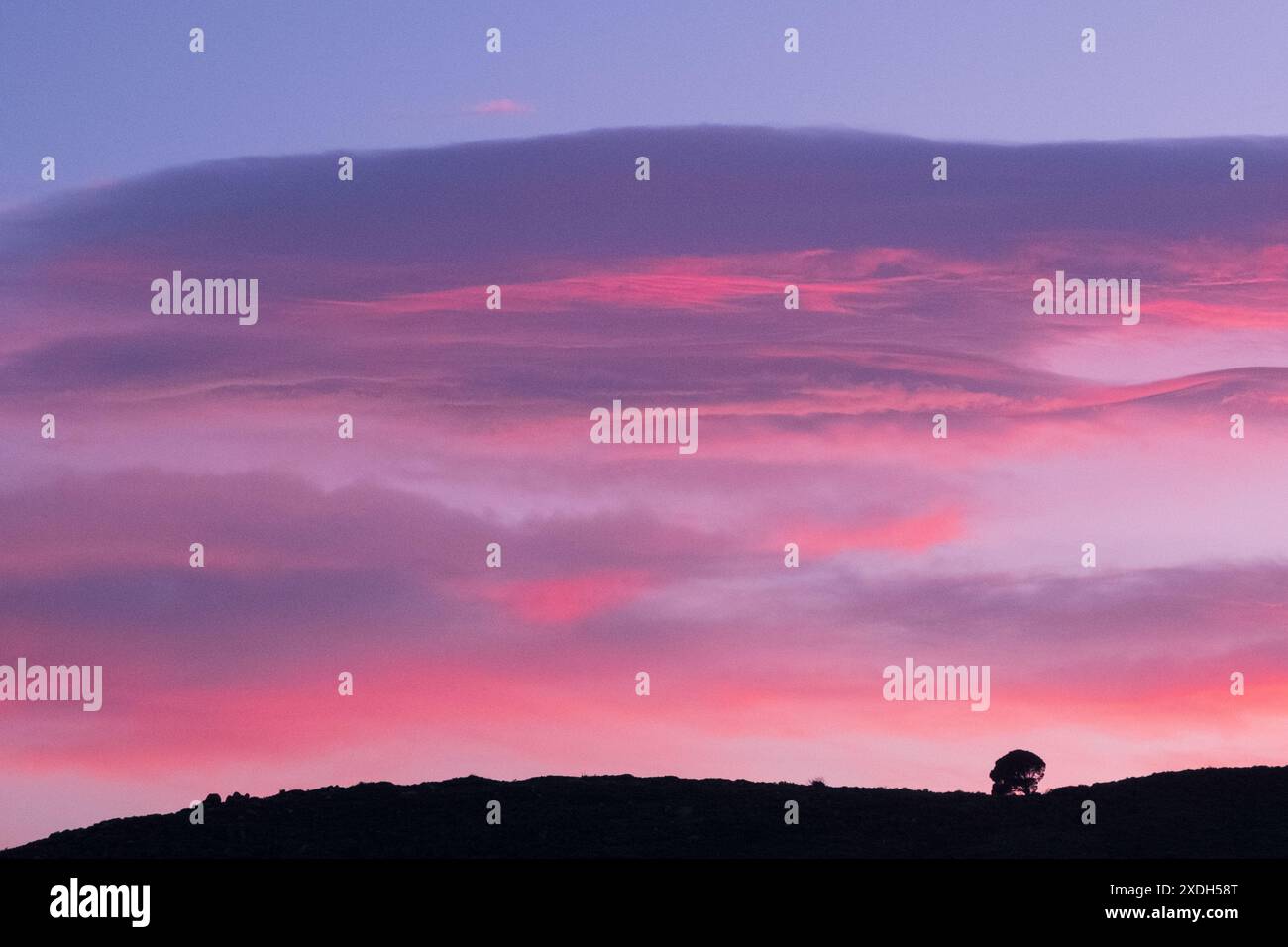 Scathered Shade A dusk sky with scattered clouds displaying shades of orange and red ...