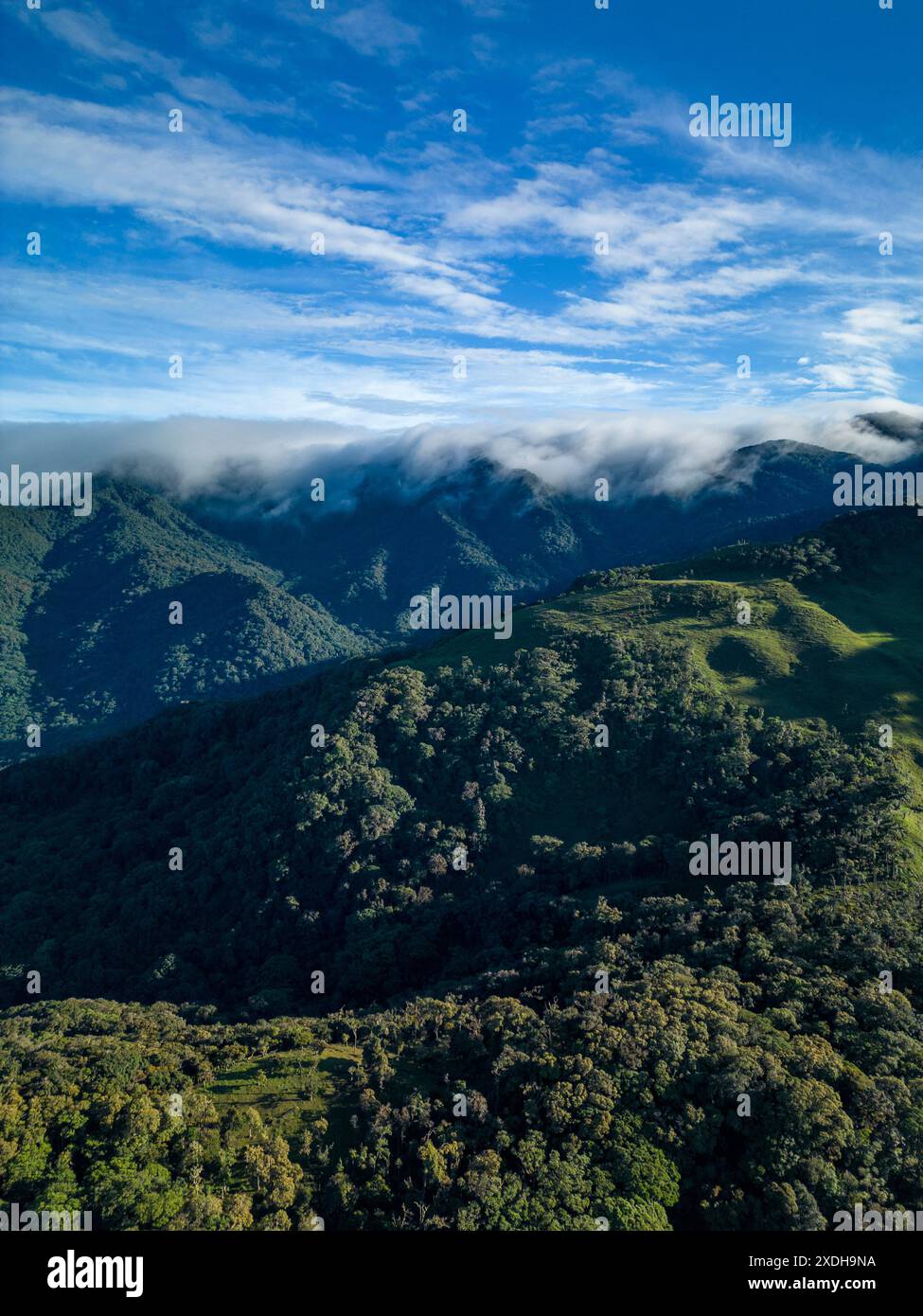 Misty cloud forest in the foothills of the Chiriqui highlands in Baru volcano, Panama, Central America - stock photo Stock Photo