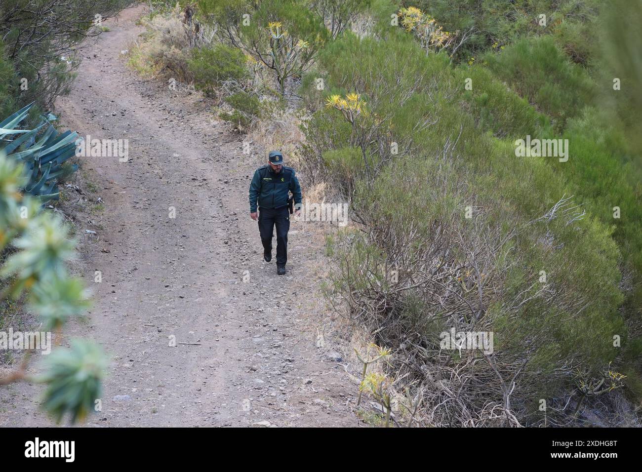 A member of the Guardia Civil near the last known location of Jay Slater, near to the village of Masca, Tenerife, where the search for missing British teenager Jay Slater, 19, from Oswaldtwistle, Lancashire, continues. Picture date: Sunday June 23, 2024. Stock Photo