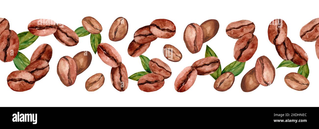 Watercolor seamless Border with Coffee Beans and leaves. Arabica coffee ...