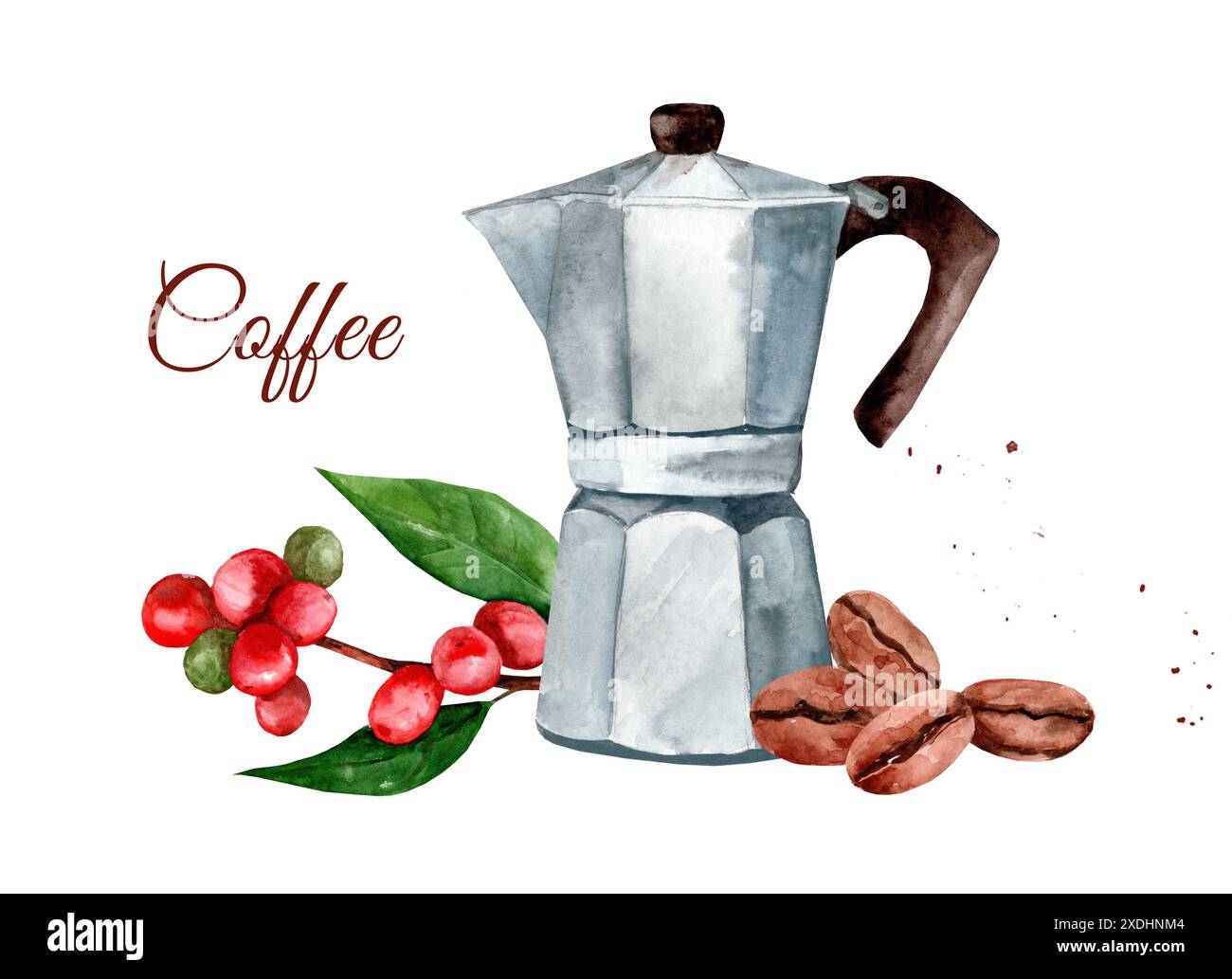 Geyser coffee maker, Arabica beans and berries. Watercolor hand drawn illustration isolated on white background. Stock Photo