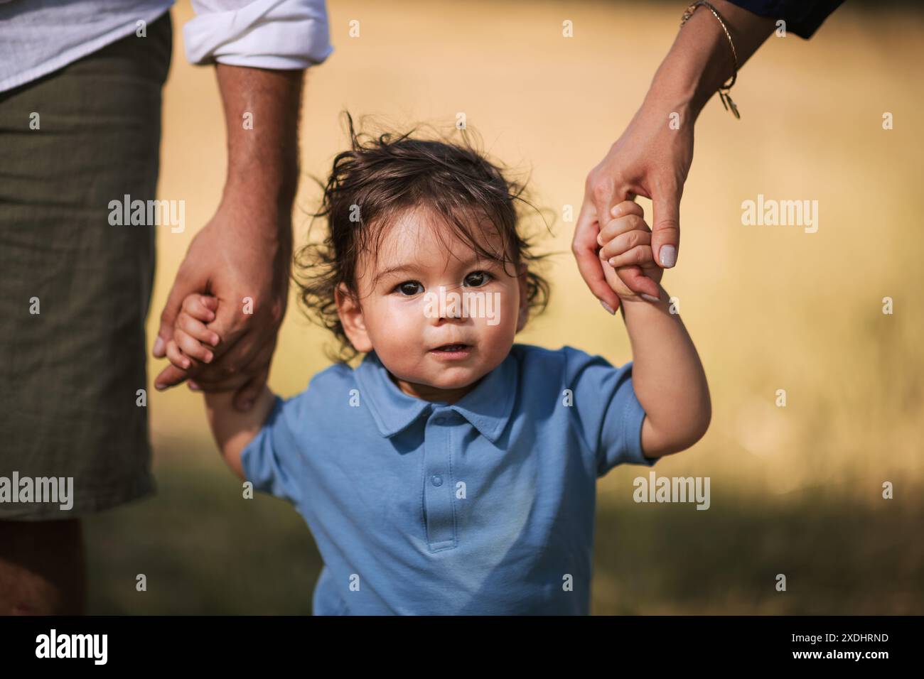 A one-year-old boy walking on the grass, holding his parents' hands, wearing a blue shirt and blue denim shorts. Stock Photo