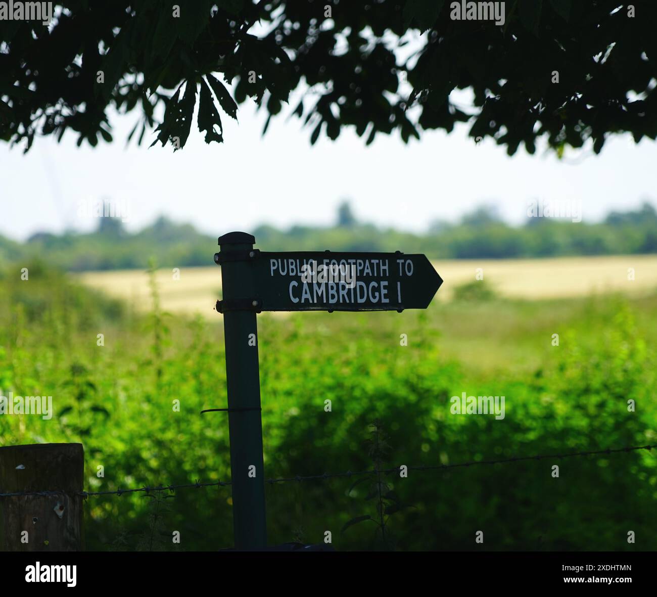 Grantchester meadows hi-res stock photography and images - Alamy