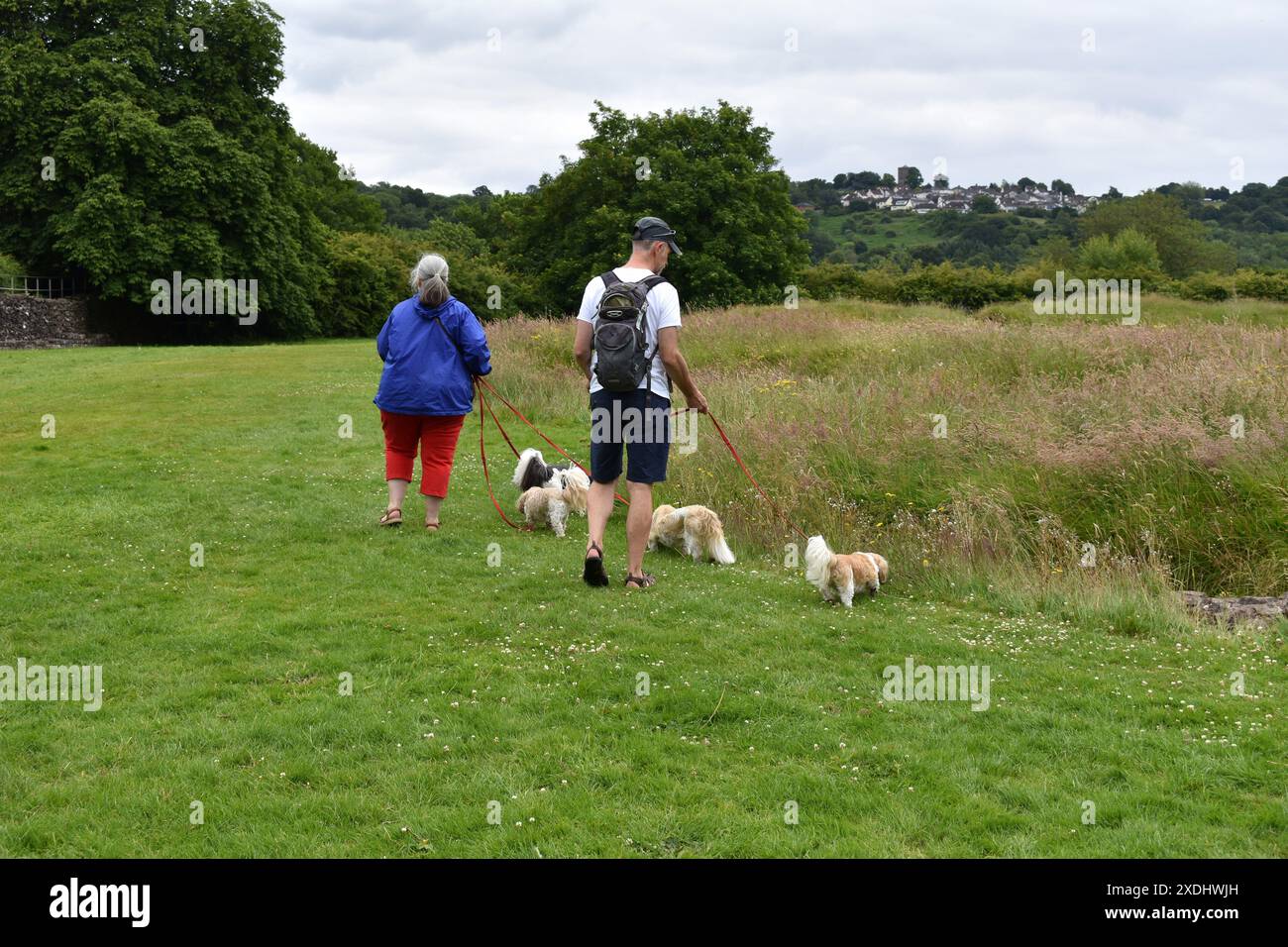 Dog walkers at Caeleon Roman Amphitheatre, Caerleon, Newport, Wales Stock Photo