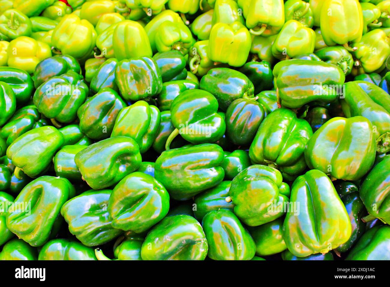 Green peppers on a Greek market stall Stock Photo - Alamy