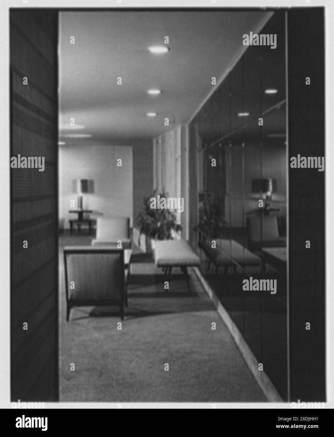 BBB | Better Business Bureau - Cozy Modern Apartments With Forest Views