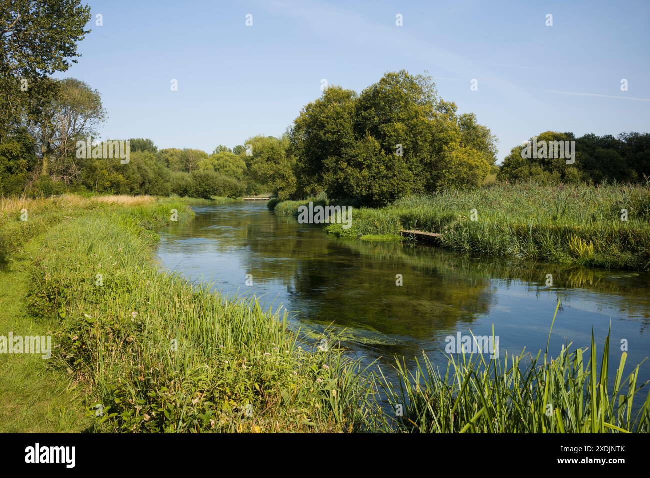 Winchester. England. The River Itchen at Martyr Worthy. The river is is one of the world’s premier chalk streams for fly fishing. Stock Photo