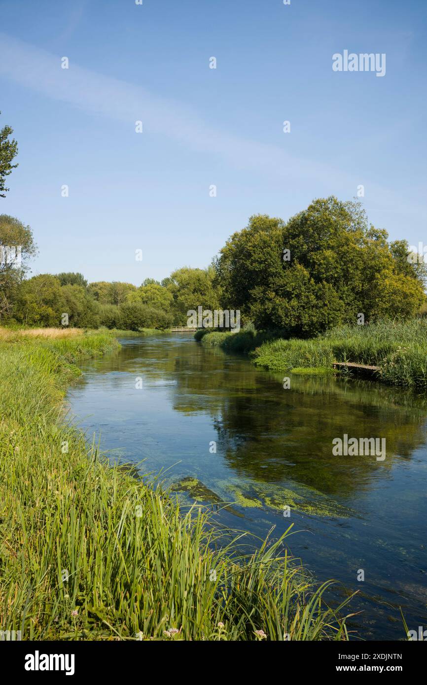 Winchester. England. The River Itchen at Martyr Worthy. The river is is one of the world’s premier chalk streams for fly fishing. Stock Photo