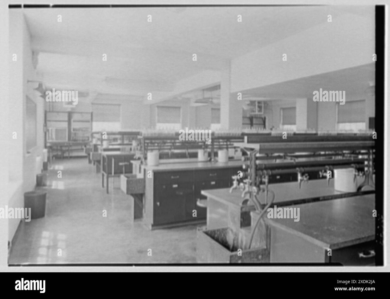 College of Medicine, Syracuse, New York. Laboratory (chemical ...
