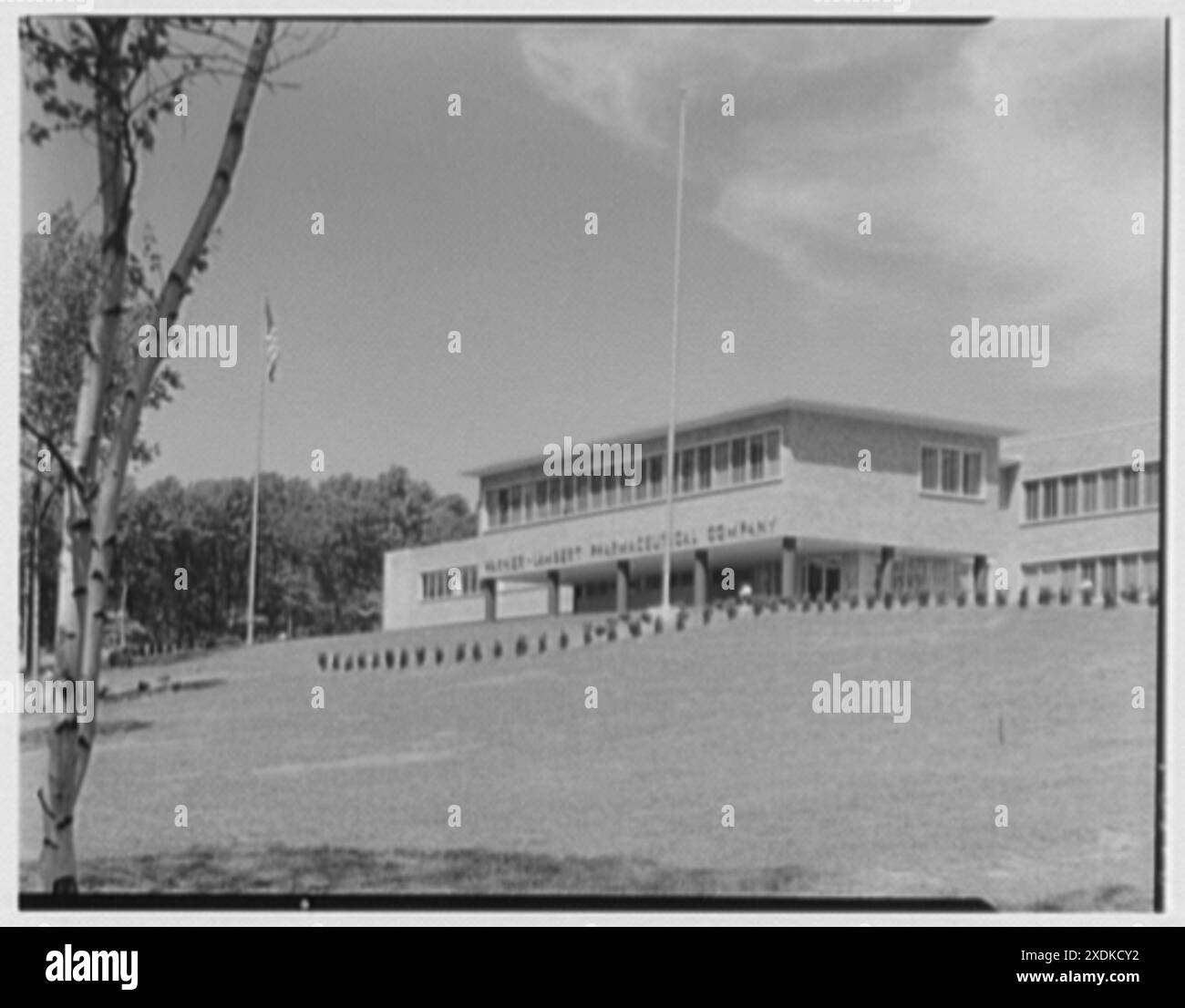 WarnerLambert, Morris Plains, New Jersey. Entrance section. Gottscho