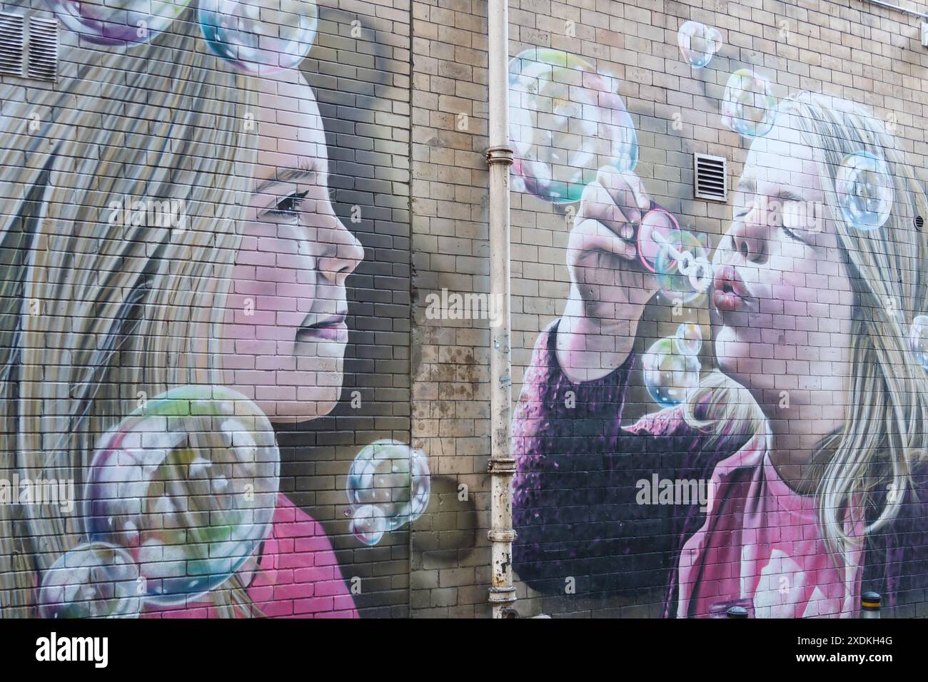 バンクシー Girl blowing Bubbles エスタンプリトグラフ バンクシー Girl blowing Bubbles エスタンプリトグラフ