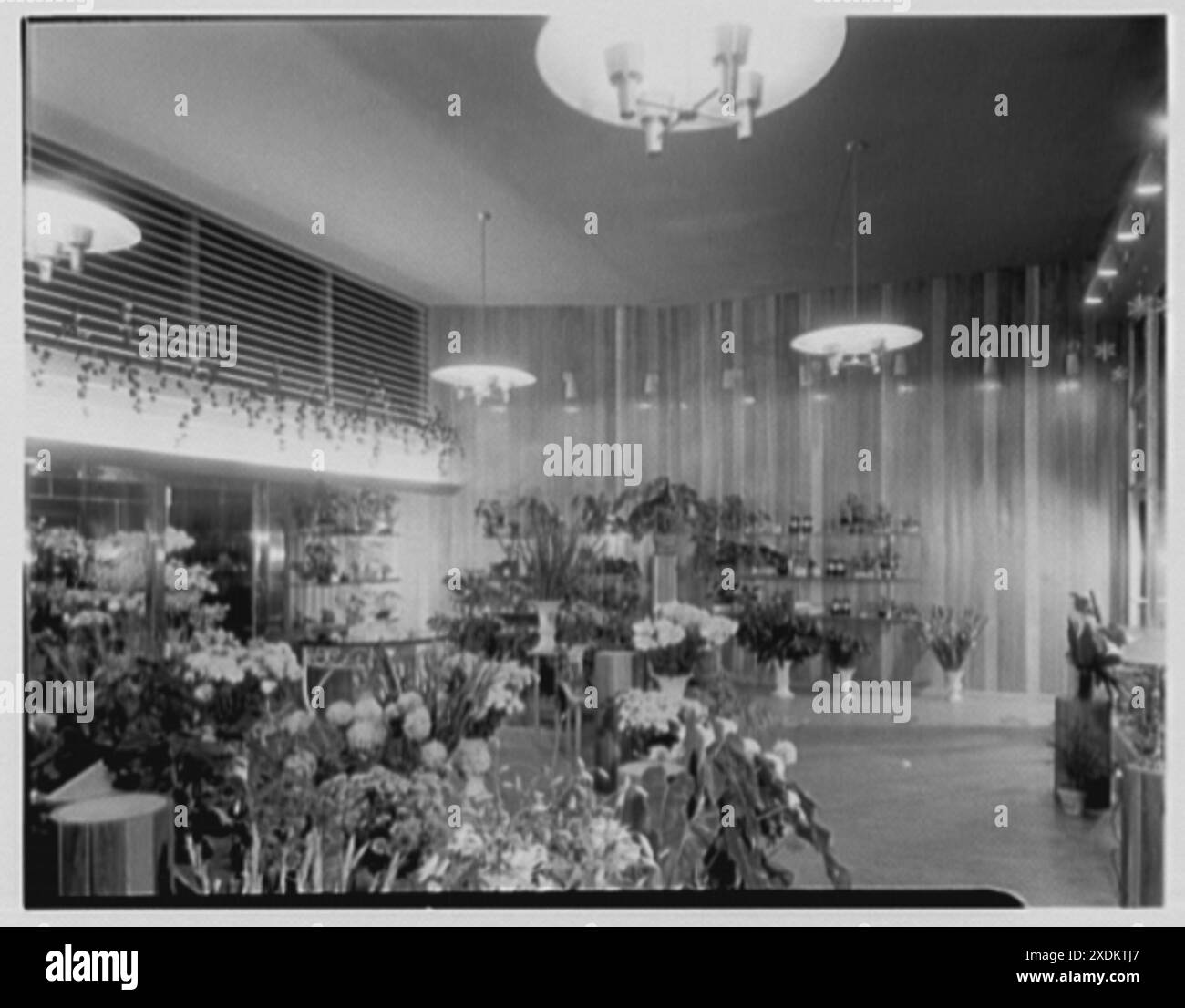 Michaels Flower Shop, business in Great Neck, Long Island, New York. General view II. Gottscho