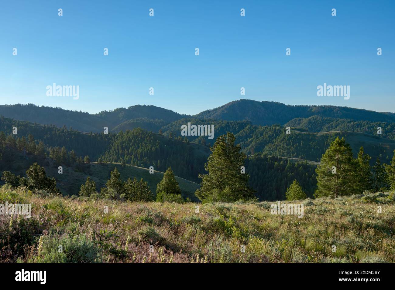 Boise National Forest Idaho Stock Photo - Alamy