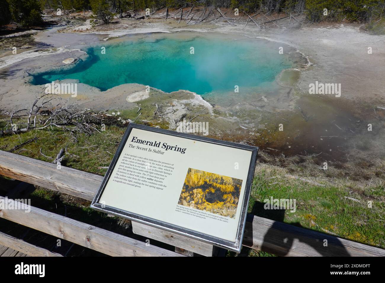 Emerald Spring is a hot spring located in the Back Basin of the Norris Geyser Basin of Yellowstone National Park. Stock Photo