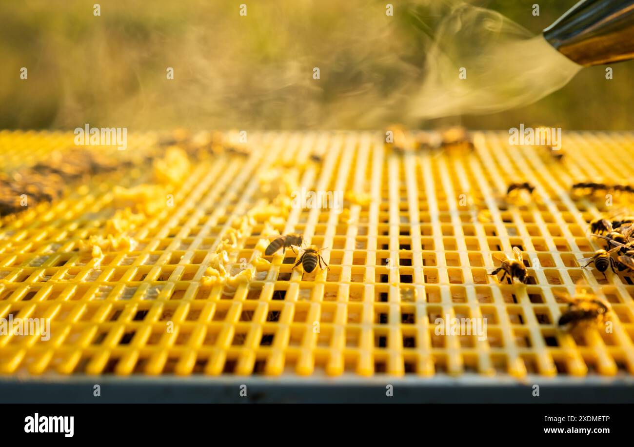bees and cigarette smoke Cigarette mark hi-res stock photography and images
