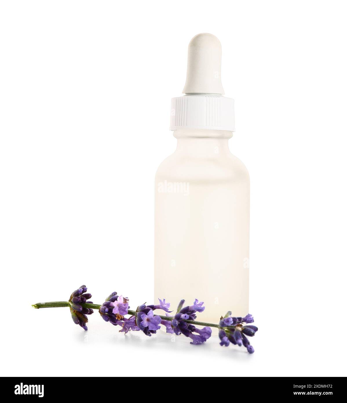 Bottle of lavender essential oil isolated on white background Stock ...