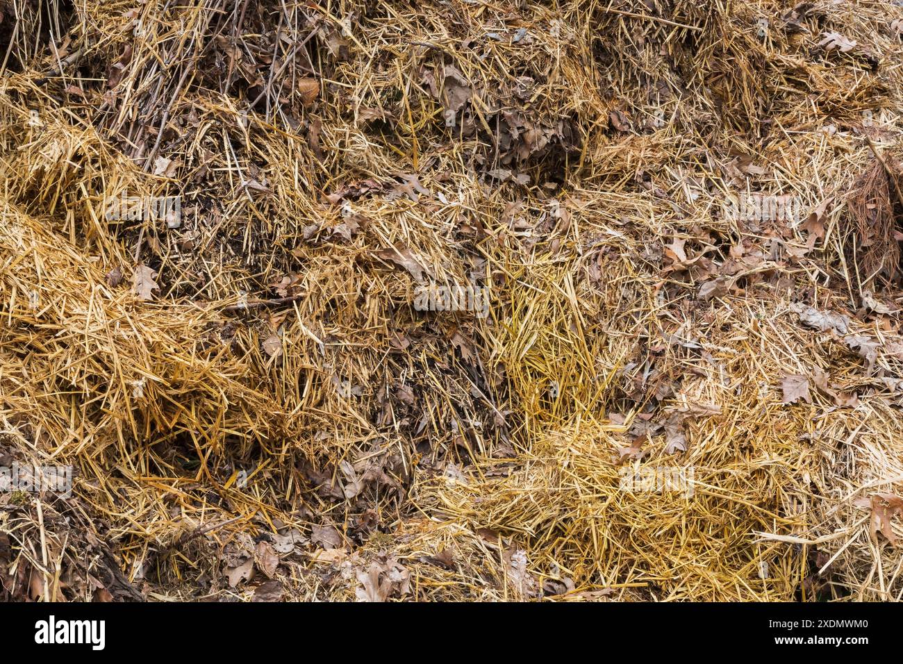 Straw and deciduous leaves in pile of compost in spring Stock Photo - Alamy