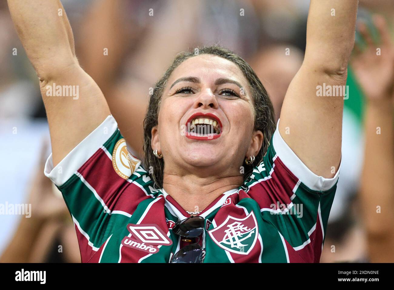 Rio, Brazil - june 23, 2024: Fans in match between Fluminense vs