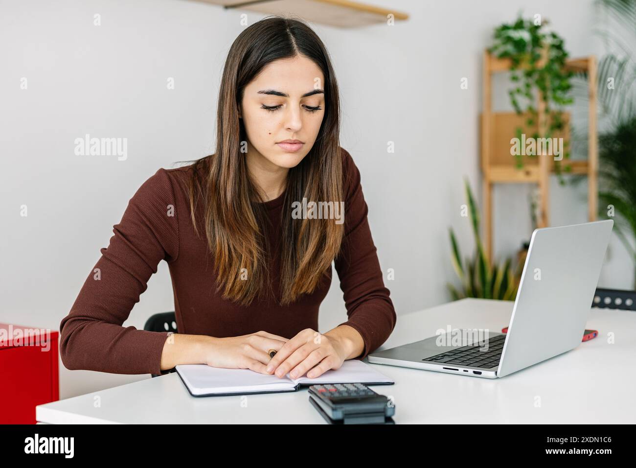 Young accountant using calculator hi-res stock photography and images ...