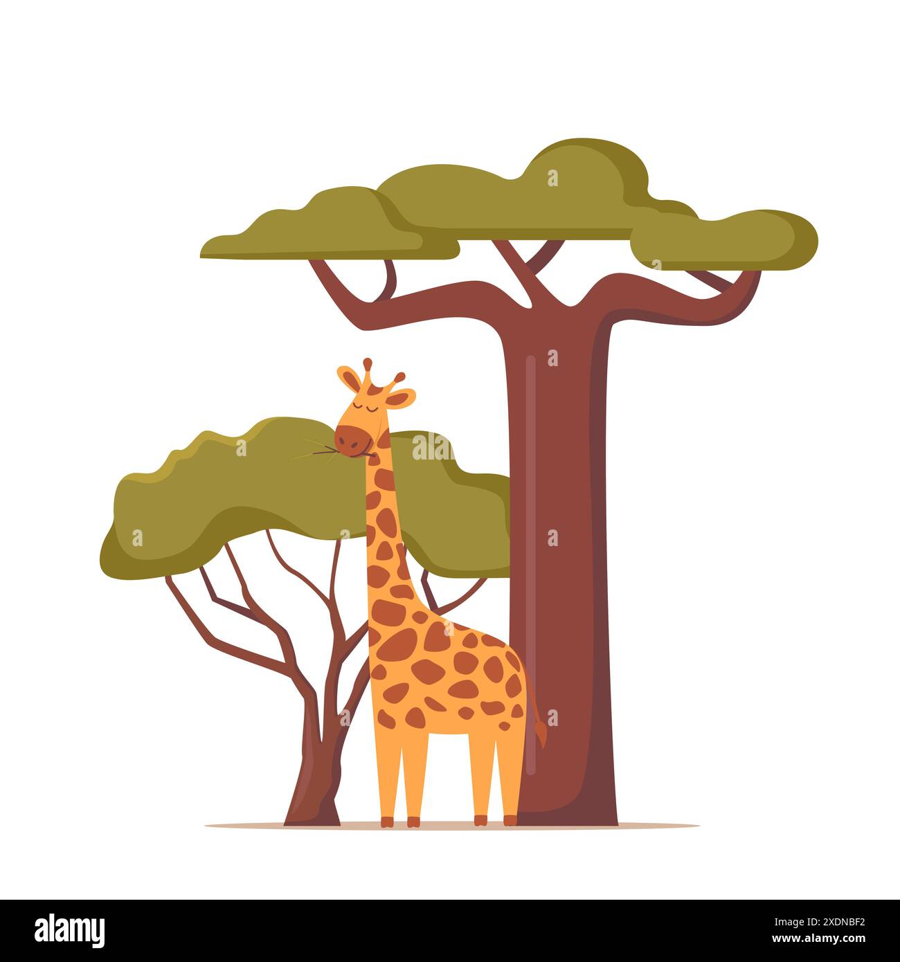 Giraffe in natural habitat. African savannah scenery with giraffe