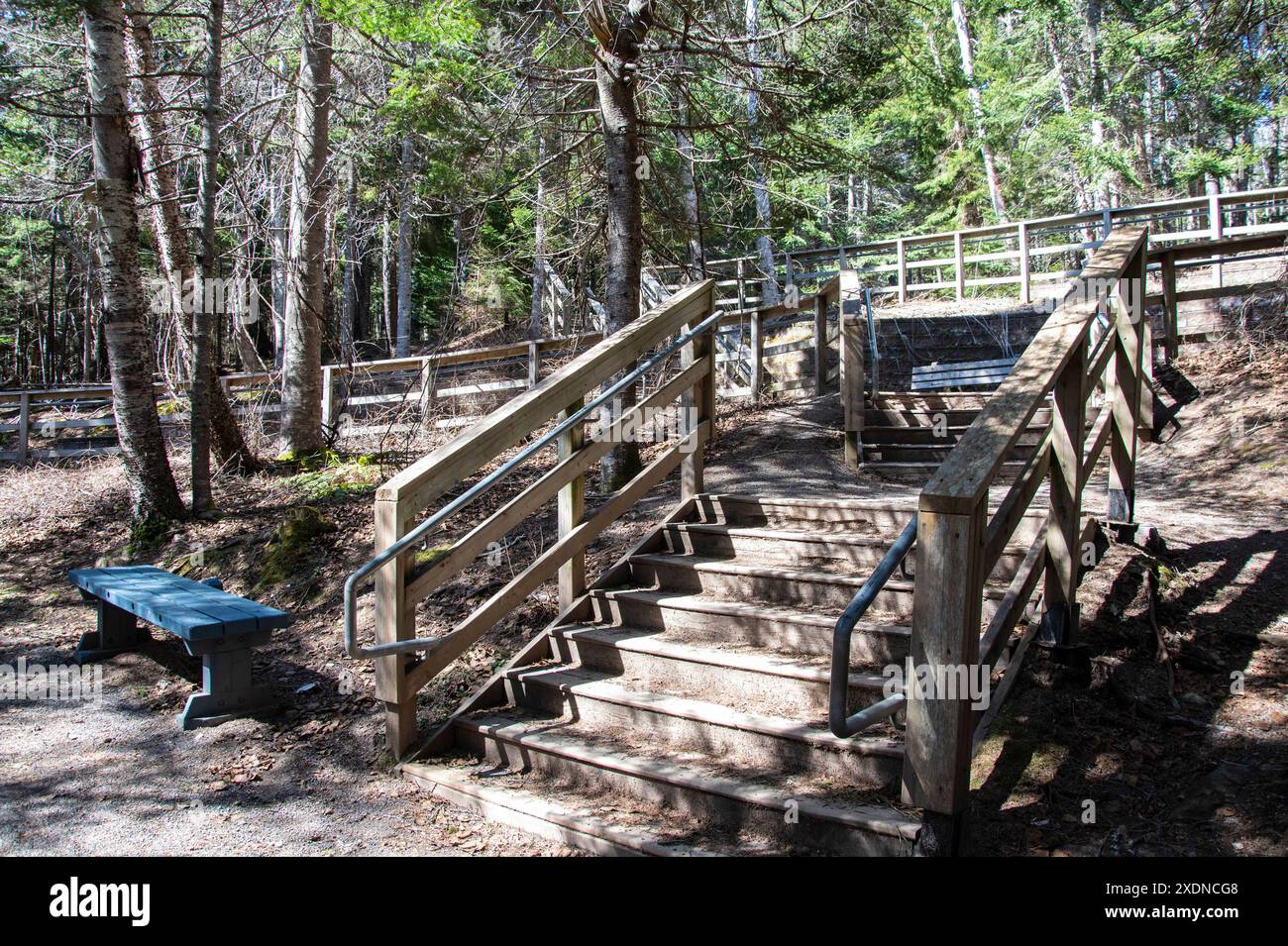 Stairs bench hi-res stock photography and images - Alamy