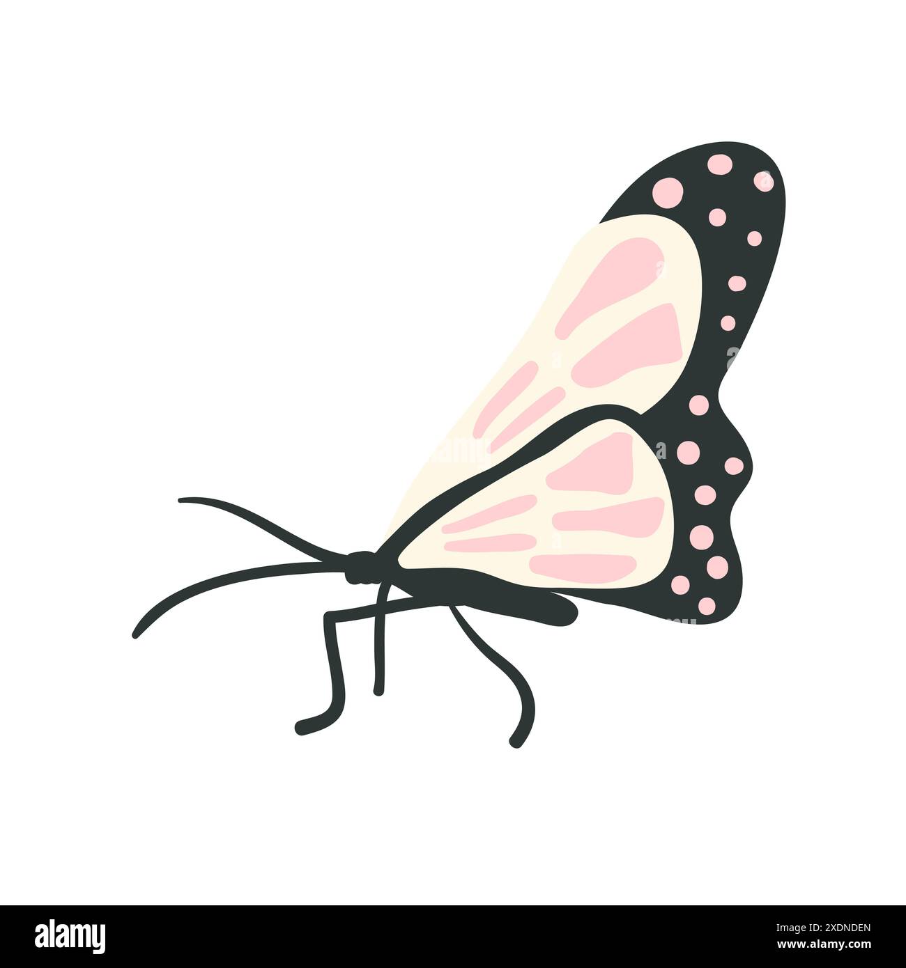 Butterfly isolated on white background. Vector hand drawn illustration ...