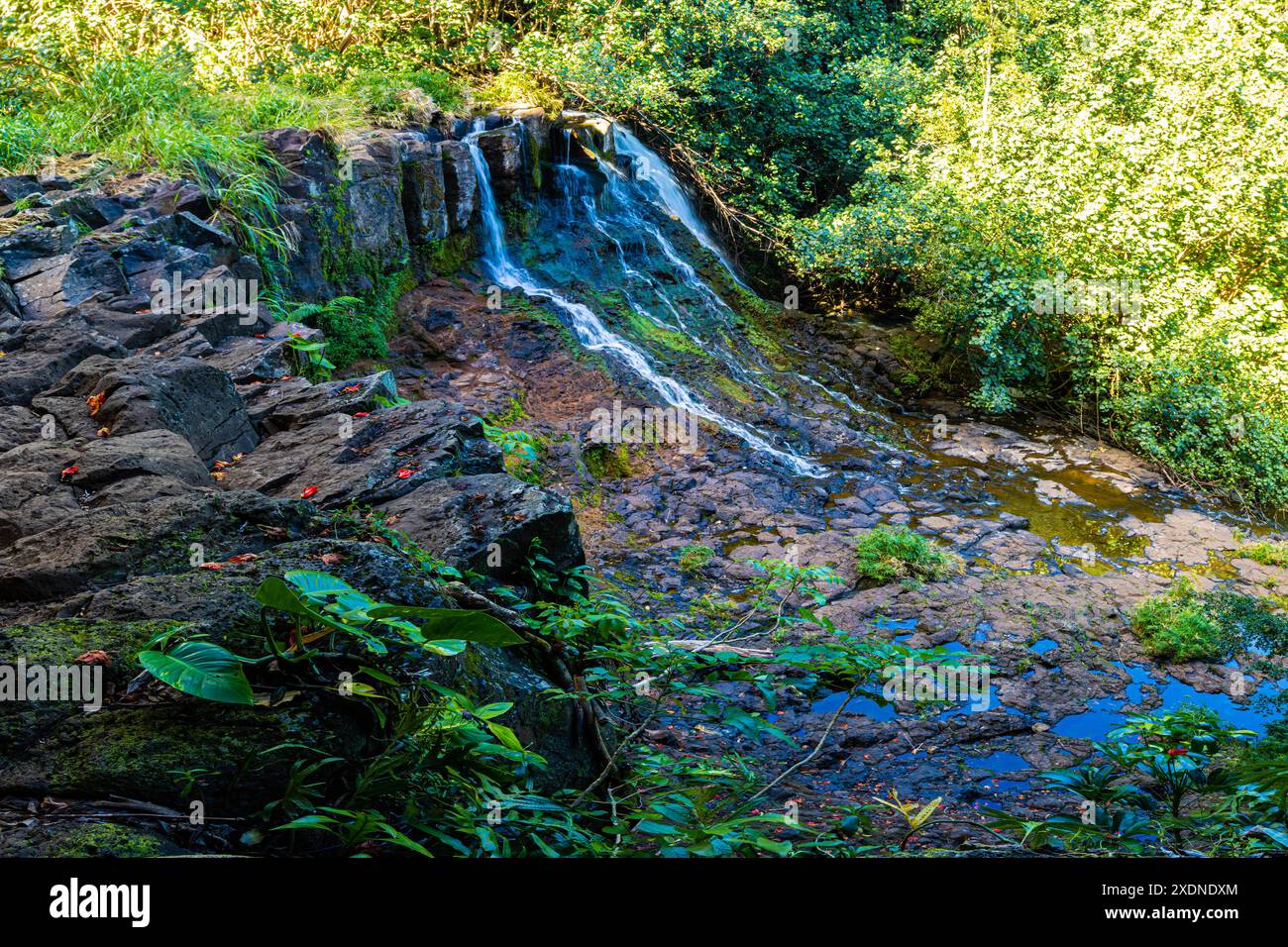 Hoopii falls trail hi-res stock photography and images - Alamy
