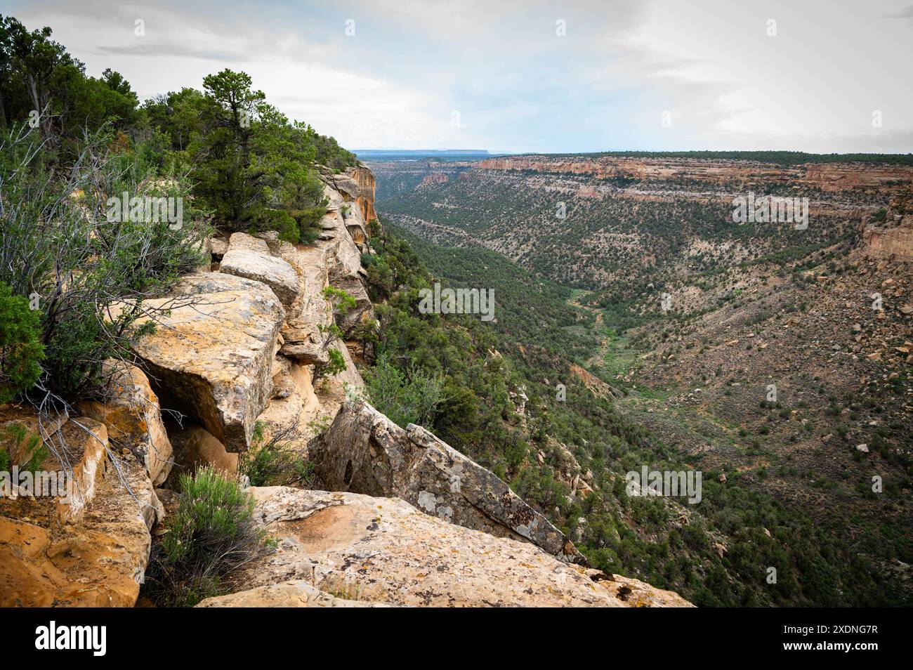 Mesa Verde National Park Stock Photo