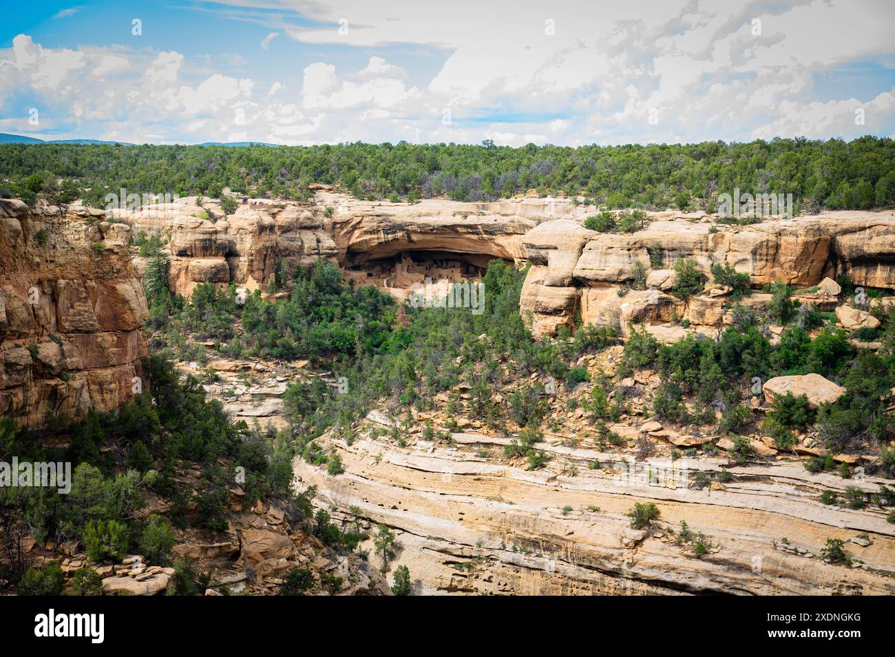 Mesa verde cliff palace ladder hi-res stock photography and images - Alamy