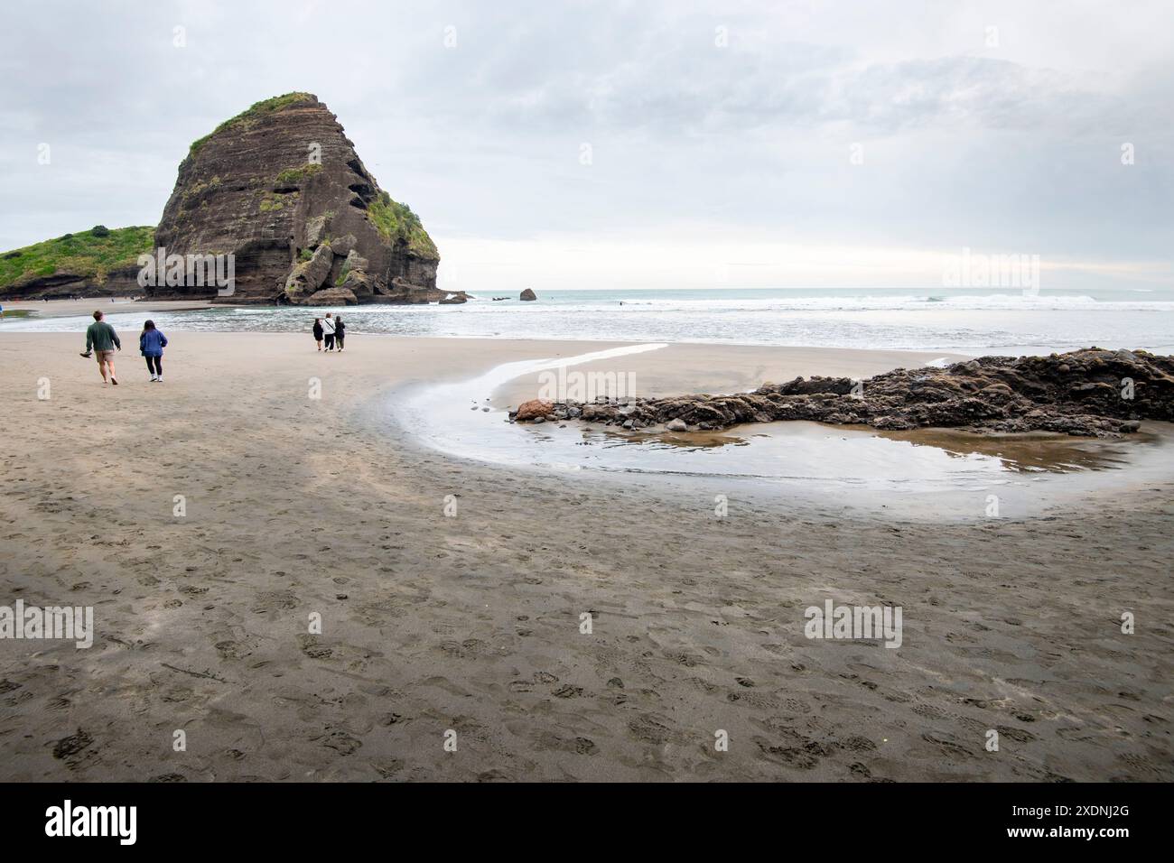piha beach auckland new zealand