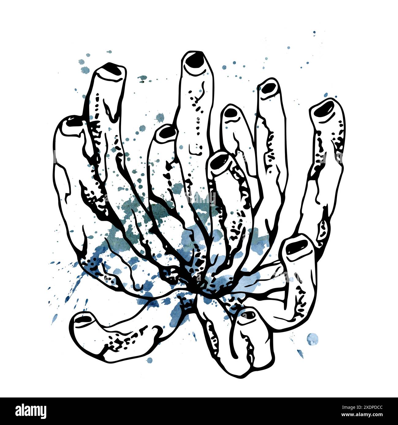 Watercolor and ink hand drawn marine life, sea ocean underwater creatures. fish, shells algae seaweed. Single object illustration, stylized, isolated Stock Photo