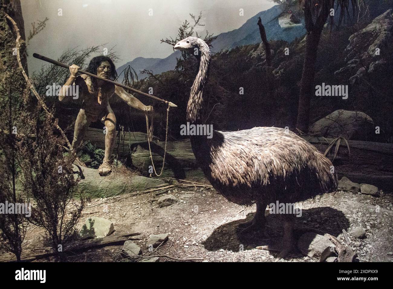 A diorama of Maori life at Canterbury museum showing a man hunting a ...