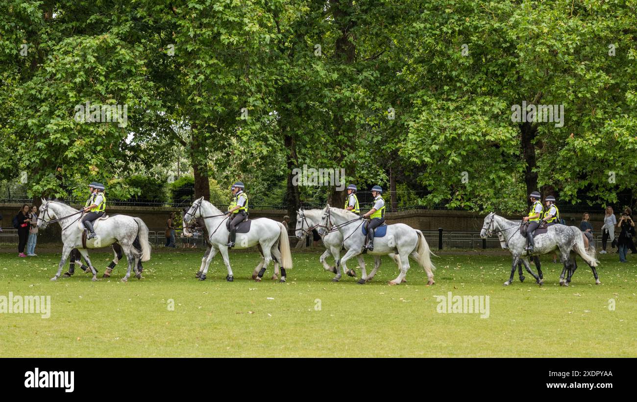 Mounted Metropolitan Police officers and their horses from the Metropolitan Police Mounted Branch do training drills in Green Park, London, UK. Stock Photo