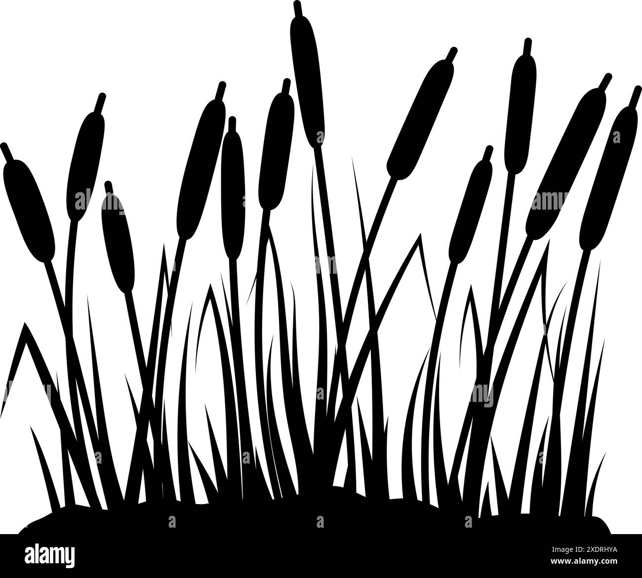 Reed silhouettes on white background. Vector illustration Stock Vector