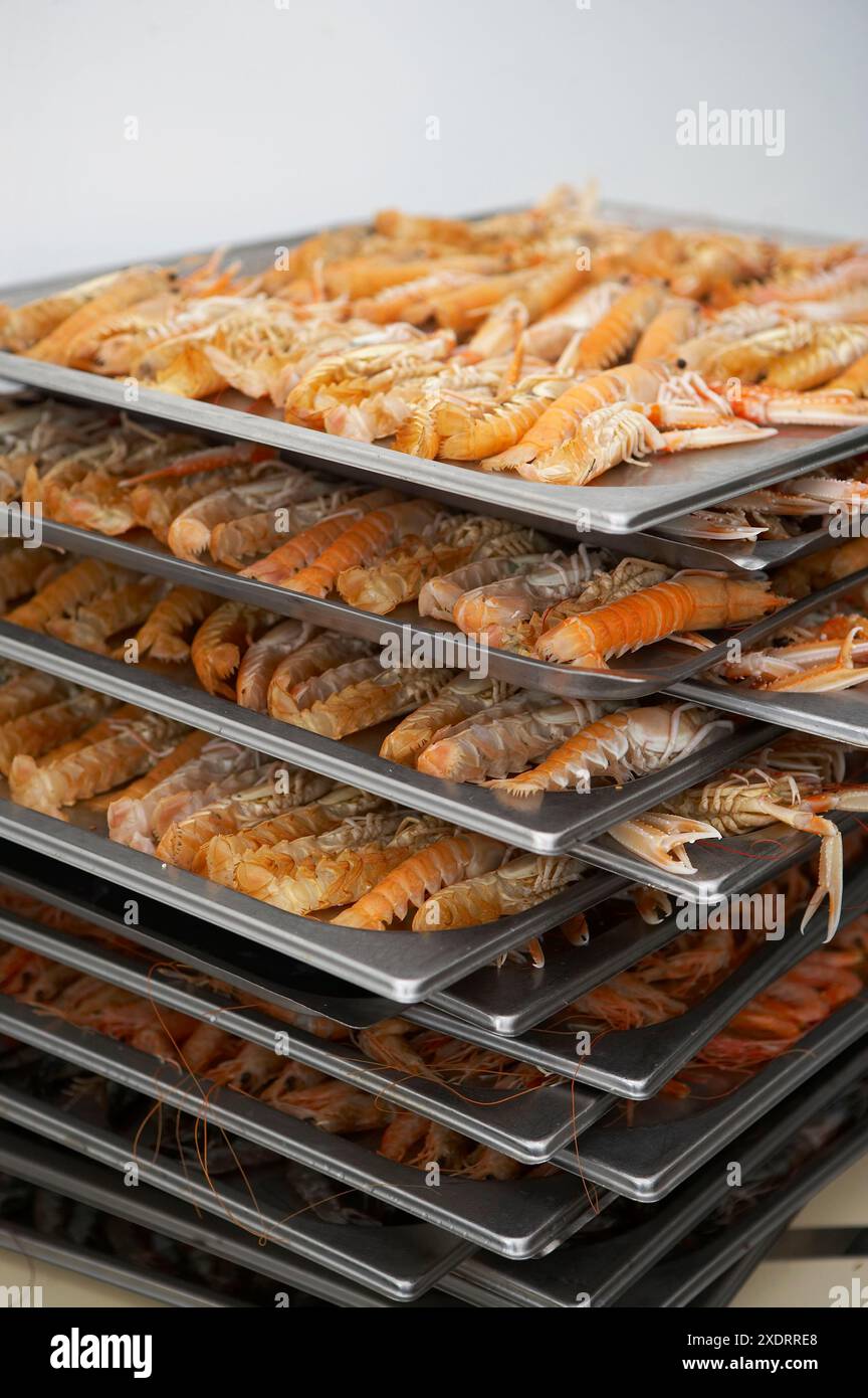 Banquet cuisine lobster seafood hi-res stock photography and images - Alamy
