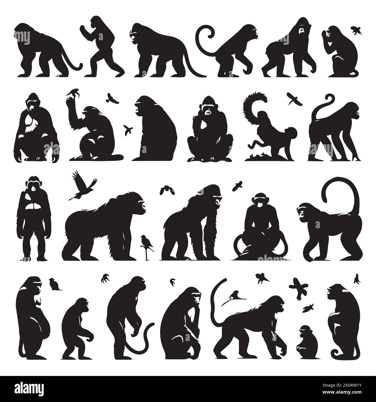 Silhouette set of ape animals. Vector isolated illustration Stock Vector