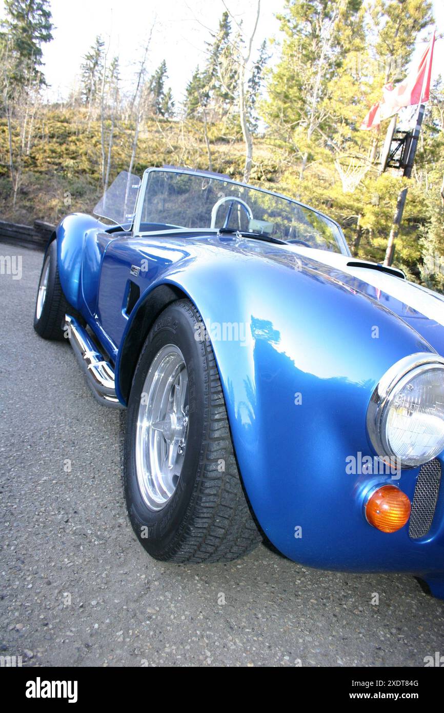 Blue Shelby Cobra Stock Photo - Alamy