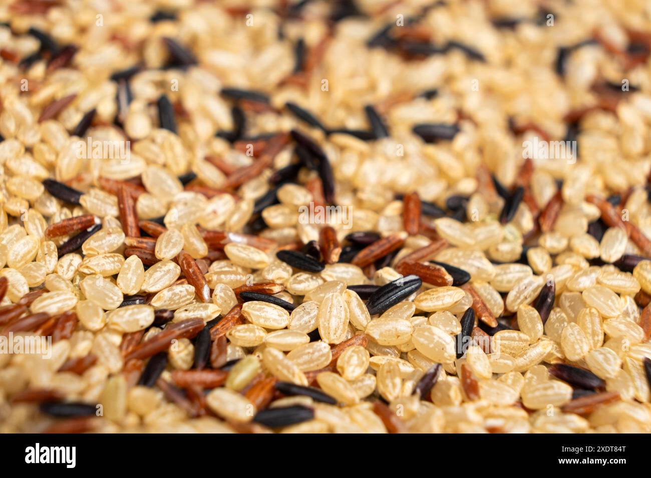 Mixture white red black rice hi-res stock photography and images - Alamy