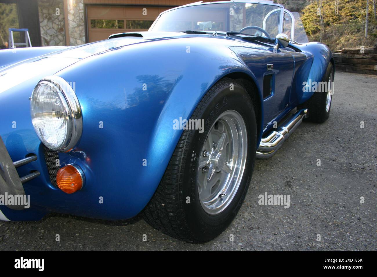 Blue Shelby Cobra Stock Photo - Alamy