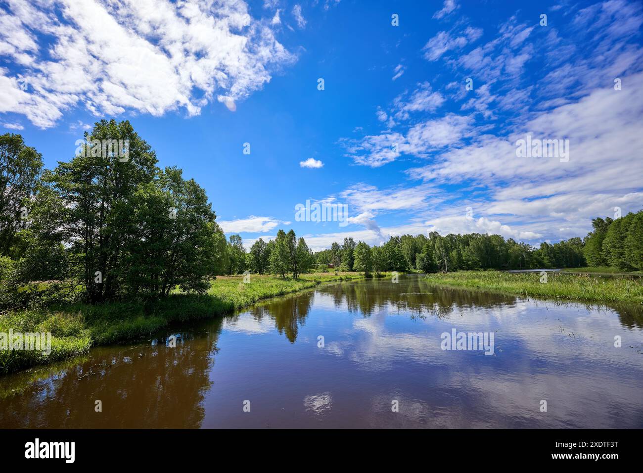 Beautiful summer landscape of river at sunny day with sky and clouds reflection in the water Stock Photo