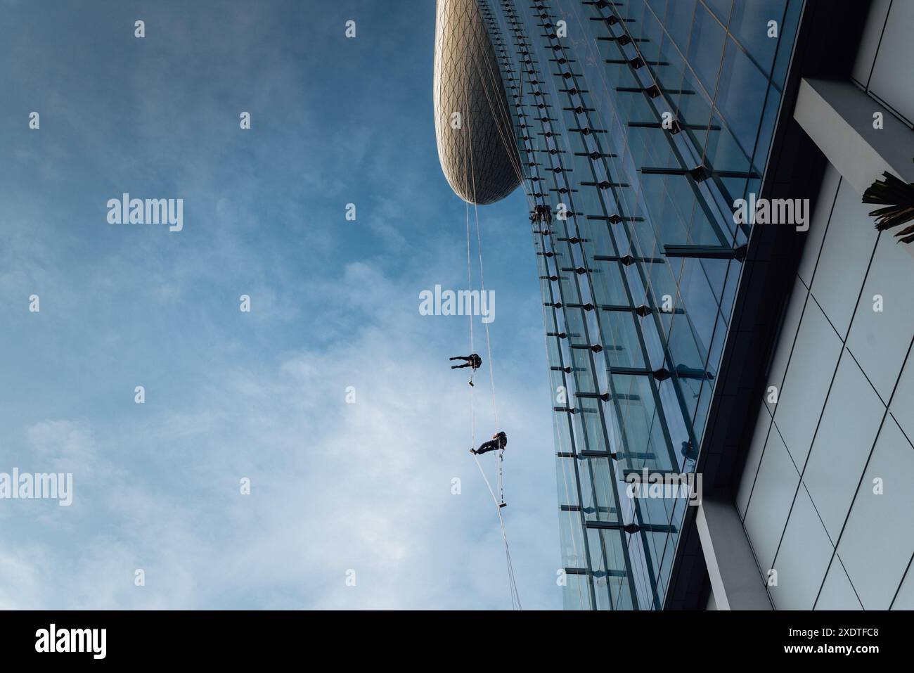 Gallery image with a fresh perspective